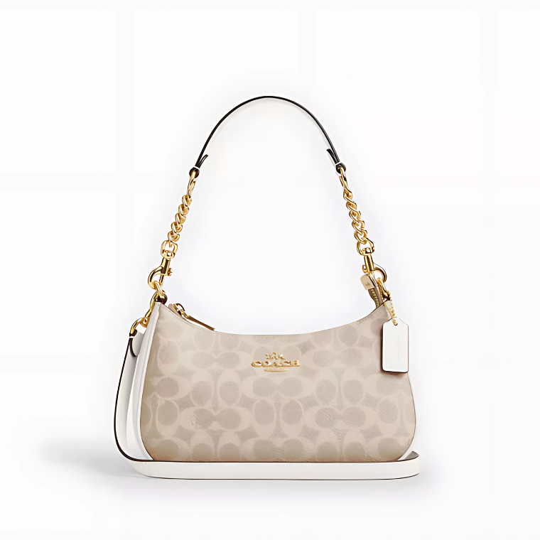 Coach Teri Shoulder Bag In Signature Canvas