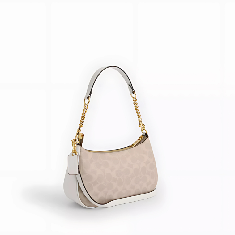 Coach Teri Shoulder Bag In Signature Canvas